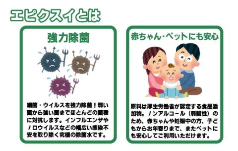 [G275p］エピクスイ2L･レギュラースプレー･ミニスプレーセット