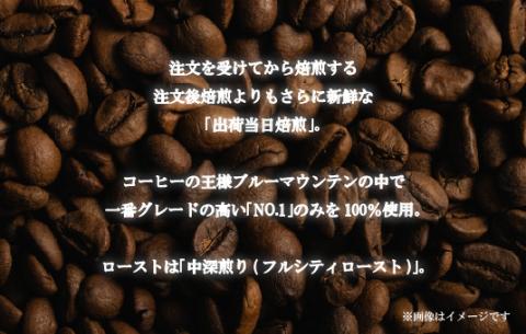 [E195z］必ず出荷日に自家熟成焙煎ブルーマウンテンNo.1豆(200g)