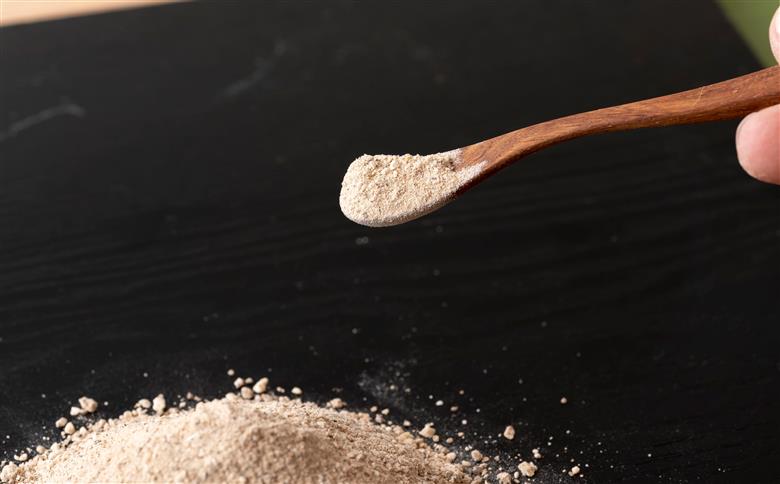  [C324］長崎発永吉さんの菊芋粉末1袋(100g)