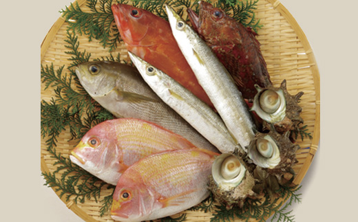 [A184p］五島列島宇久島地魚詰め合わせ