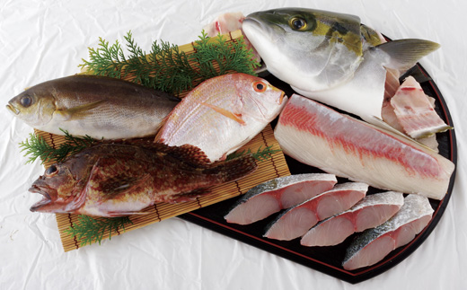 [A198p］五島列島旬の地魚大漁セット(約3人前)