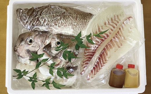 [A117p］片岡水産真鯛セット(大)
