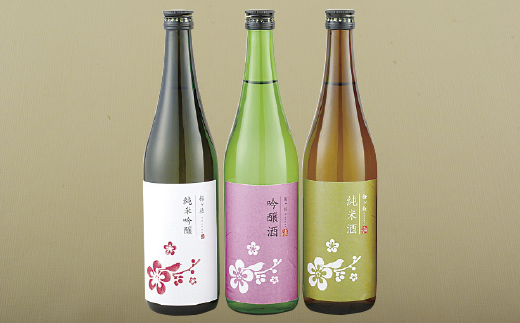 [C100b］純米吟醸･吟醸･純米酒 華やか&やや辛口日本酒3本