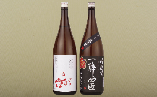 [C111b］香り豊かな純米吟醸･吟醸酒のプチ贅沢一升瓶2本