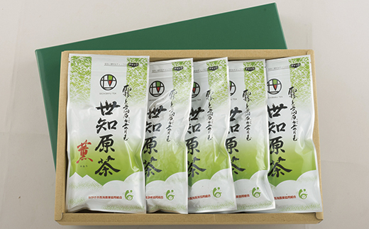 [C232p］世知原茶｢薫｣5本セット