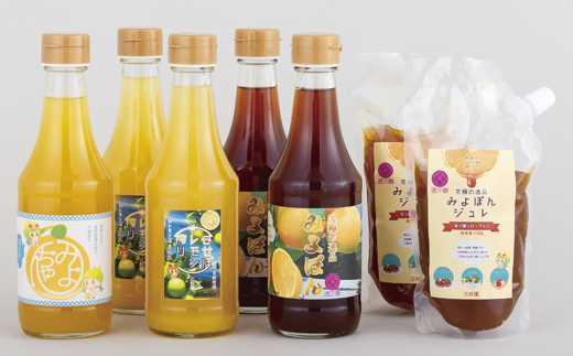 [C170p］幻の香酸かんきつ味美(新種和レモン)加工品