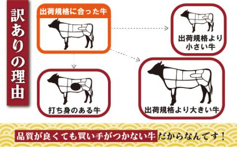 [B128p］訳あり限定長崎県産和牛切り落とし(1,000g)
