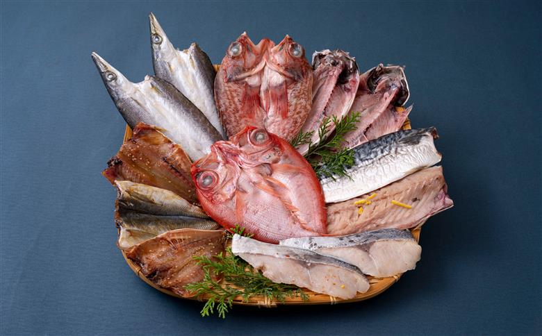 [A277b］《定期便》丸富の干物頒布会｢松竹梅｣【6回お届け】