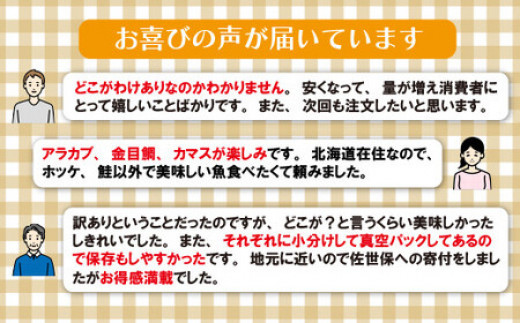  [A484］｢訳あり干物｣セット（6種 24枚以上)【丸富水産】人気 長崎 佐世保 九州 干物 個包装 小分け