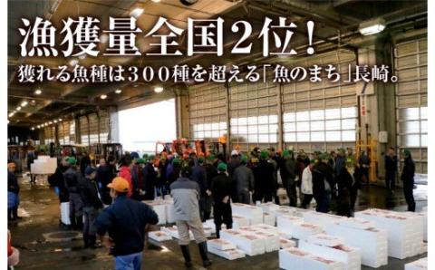 [A272b］《定期便》高級白身魚干物｢百花繚乱｣丸富水産【6回お届け】