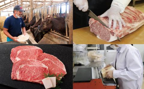 [B109p］長崎和牛サーロインステーキ(3枚)