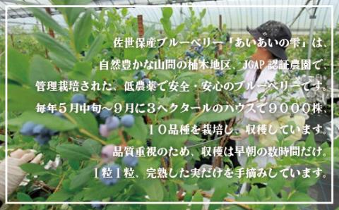 [C152a］冷凍ブルーベリー｢あいあいの雫｣1,200g