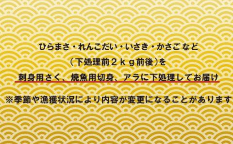 [A198p］五島列島旬の地魚大漁セット(約3人前)