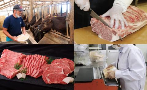 [B112p］《定期便》長崎和牛お楽しみ便【希望週に3回お届け】