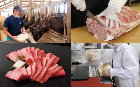 [B110p］長崎和牛焼肉カルビ(500g)