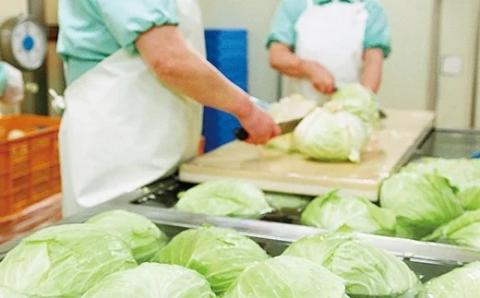 [E244a］海鮮具入りちゃんぽん(5入)