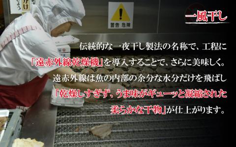 [A262a］《定期便》ひものギフト｢凪｣津田水産【3回お届け】