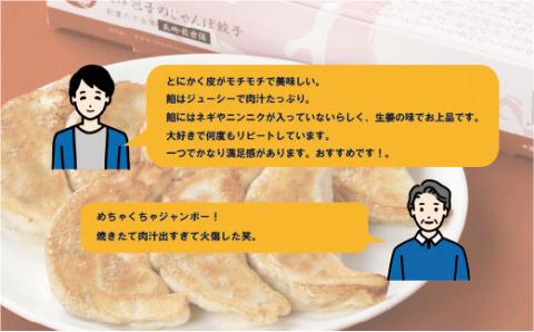 [E173a］天津包子名物じゃんぼ餃子