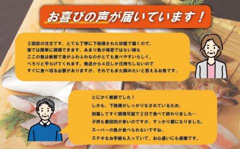 [A198p］五島列島旬の地魚大漁セット(約3人前)