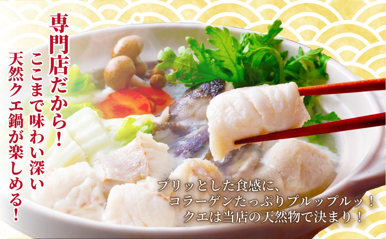 [A452］〈よか魚〉長崎産天然クエ鍋