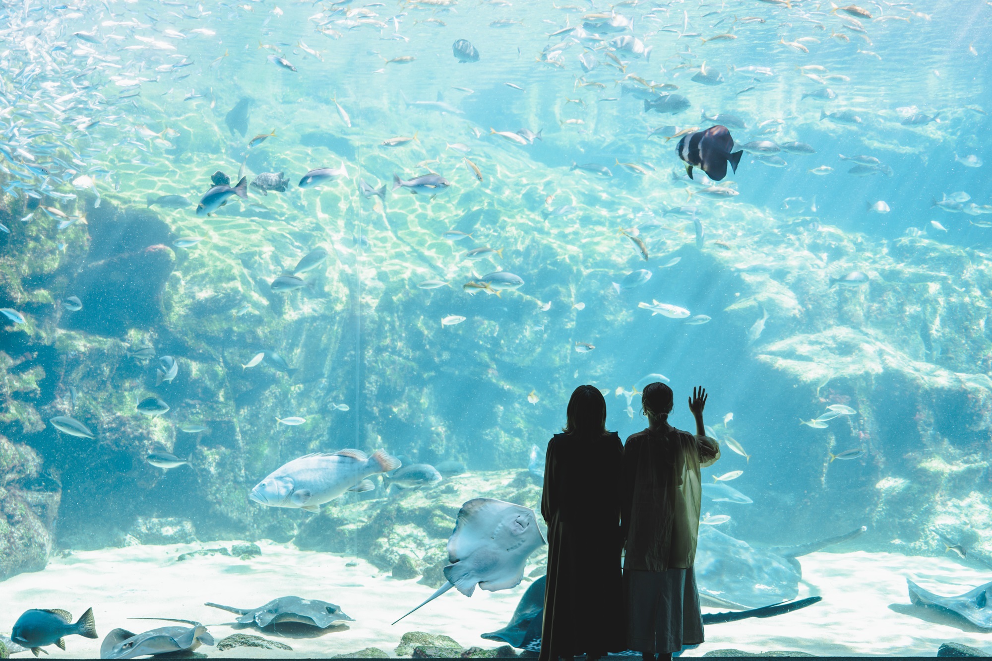 [EP15000］【佐世保観光で使えるポイント】させぼe旅ポイント15,000円分