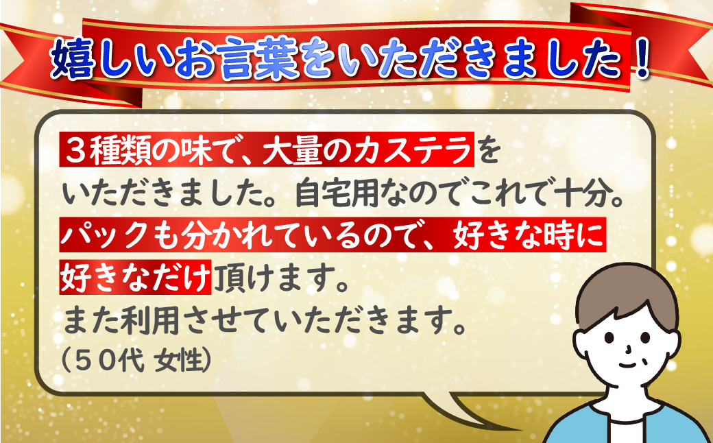 [F154p］人気抜群カステラ切り落とし3種詰め合わせ(計10入)