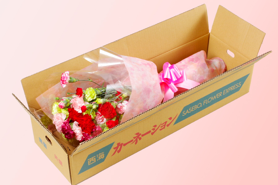 [G500ap］母の日ギフト 産地直送 カーネーション花束