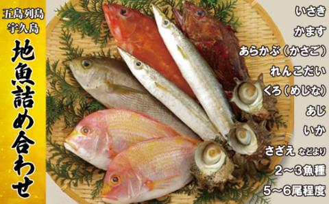 [A184p］五島列島宇久島地魚詰め合わせ
