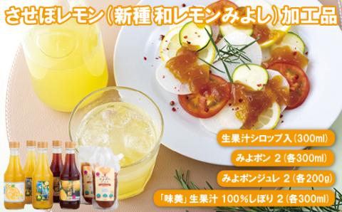 [C170p］幻の香酸かんきつ味美(新種和レモン)加工品