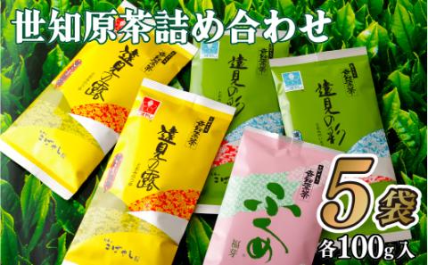 [C230p］世知原茶詰め合わせ