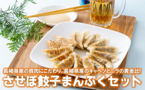 [E178p］〈させぼ餃子研究所〉させぼ餃子まんぷくセット