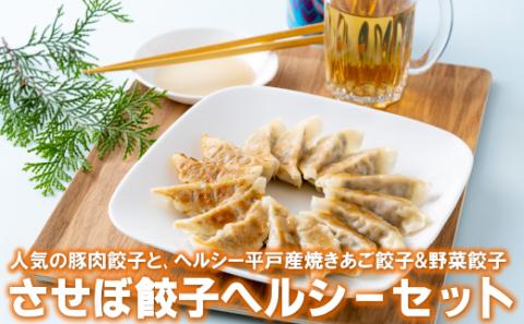 [E179p］〈させぼ餃子研究所〉させぼ餃子ヘルシーセット