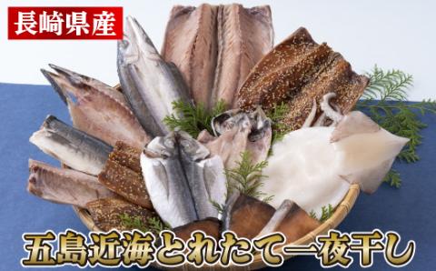 [A310p］五島近海とれたて一夜干し