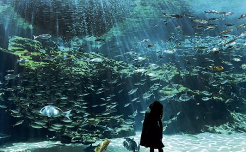 [H130p］タクシープラン九十九島満喫コース2.5時間(4名)