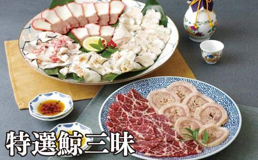 [A234a］中島鯨商店 特選鯨三昧