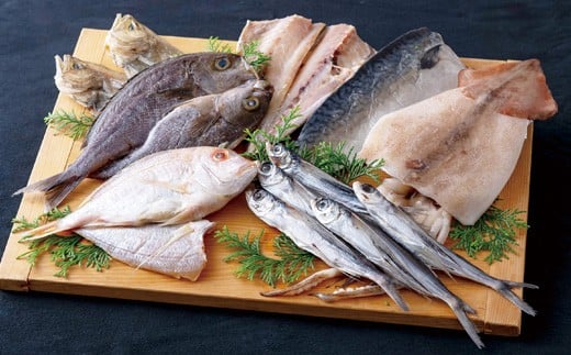 [A257a］《定期便》長崎ひもの｢出島｣津田水産【6回お届け】