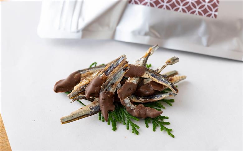 [E500］《定期便》｢意外な組み合わせ｣チョコいりこ【3回お届け】