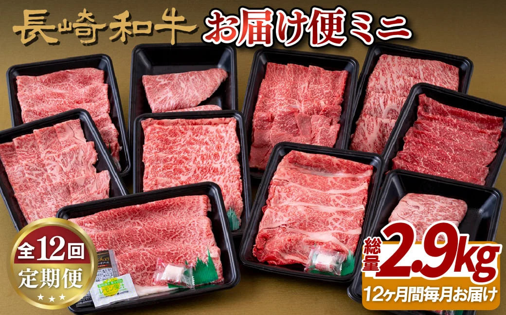 [B245p］《定期便》長崎和牛お届け便ミニ(12回)
