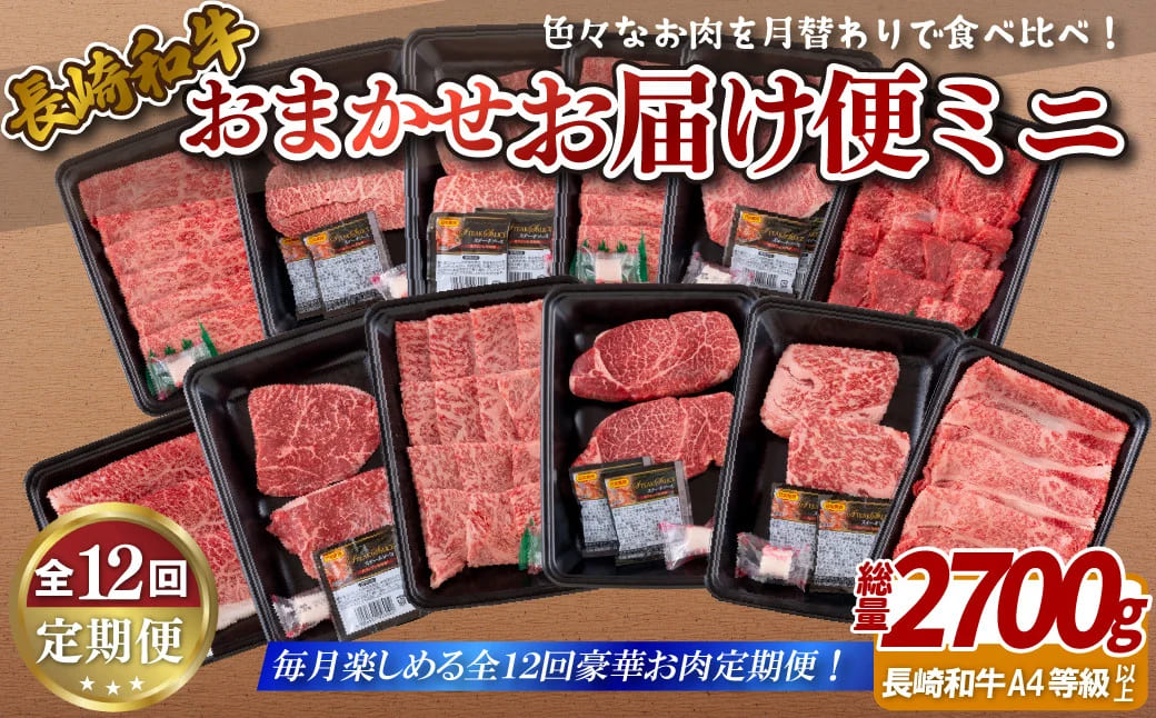 [B249p］《定期便》長崎和牛おまかせお届け便ミニ(12回)