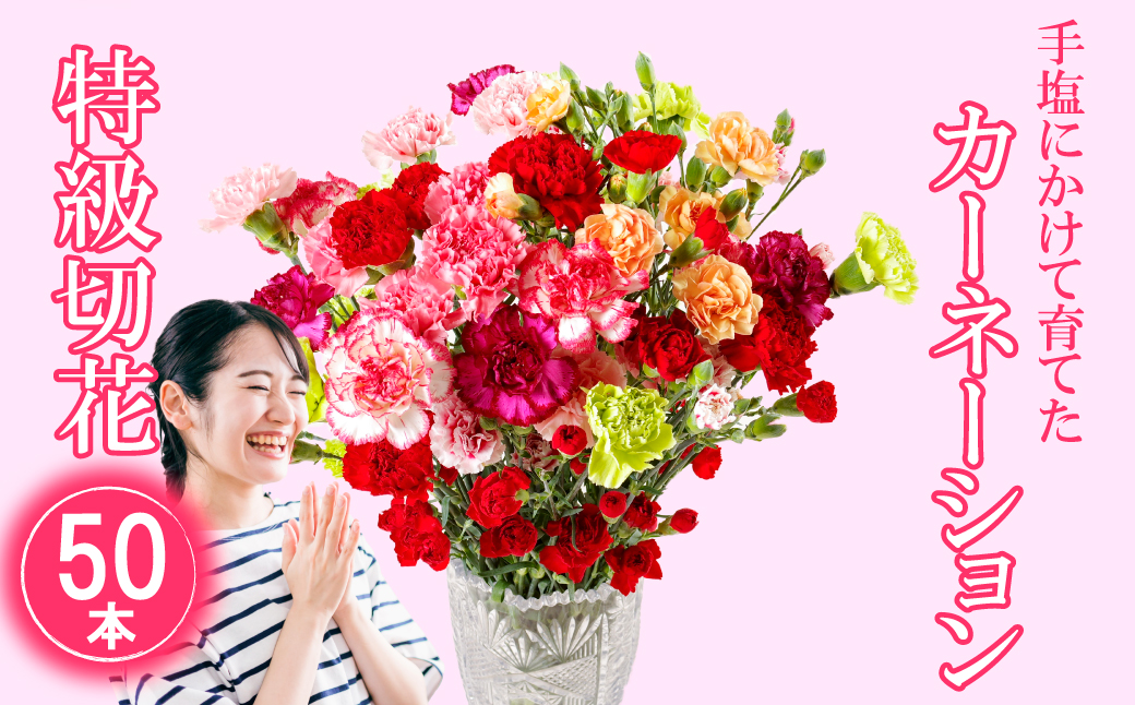 [G294p］鮮度が自慢!花農家直送カーネーション切り花５０本