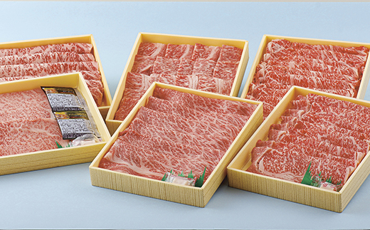 [B163p］《定期便》長崎和牛ロースお届け便(6回)