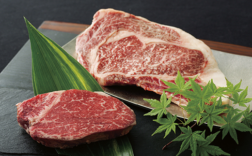 [B293p］長崎和牛ヒレ･サーロインステーキ