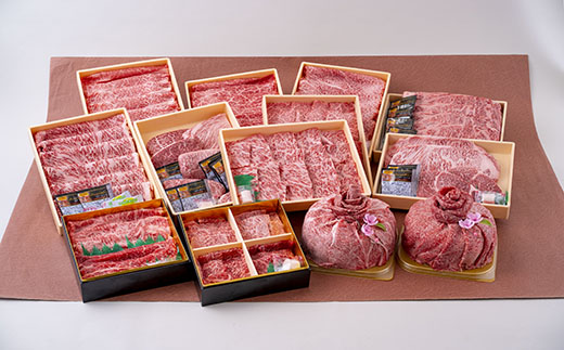 [B246p］《定期便》長崎和牛パーティお届け便(12回)