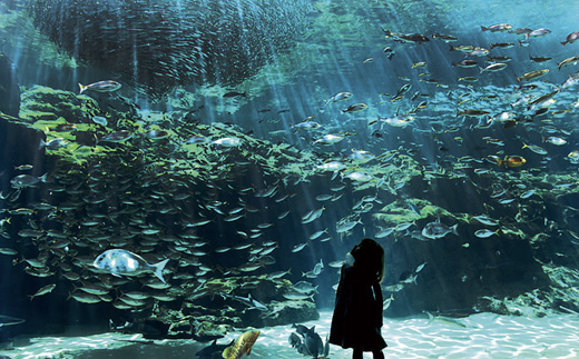 [H129p］タクシープラン九十九島満喫コース2.5時間(1～2名)