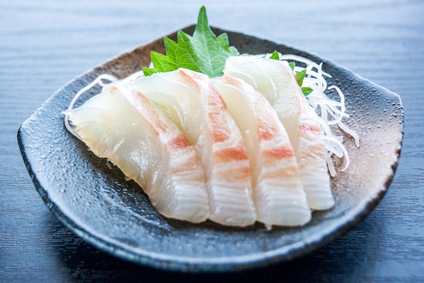 BG065【定期便】有明海 旬の鮮魚 漁協おすすめ 海の幸定期便 計6回