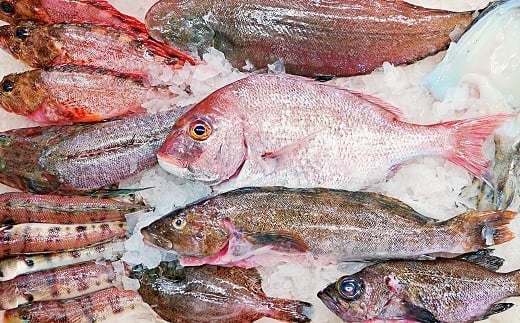 AA036プリッと身が引き締まった　島原の海の幸セット