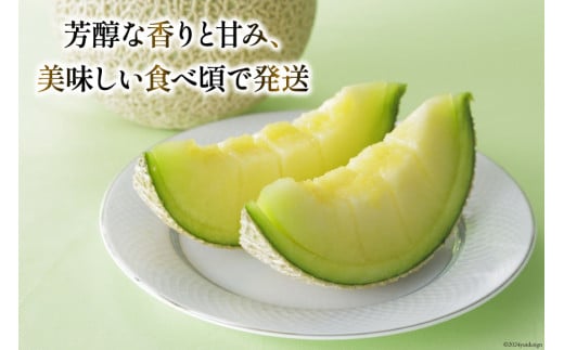 【期間限定発送】AA048 その道一筋の生産者がじっくり丁寧に育てた マスクメロン 2玉入