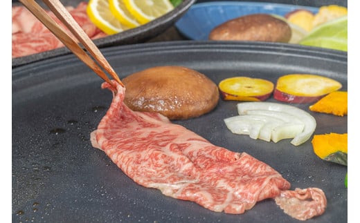 AE075島原の恵みをまとめてお届け！お手軽焼肉セット