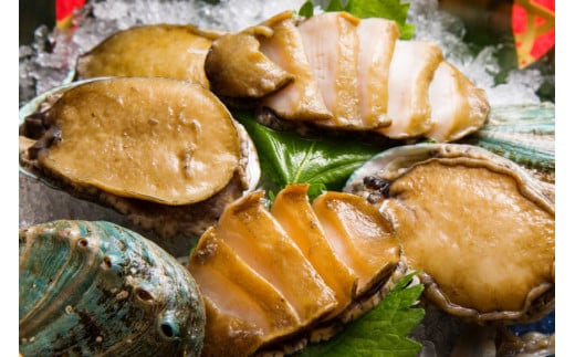 AF030【訳あり】漁協直送！島原ジオあわび 8個（ちょっと小ぶり：6cm以上）