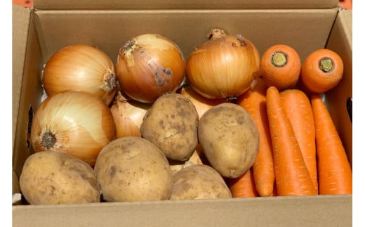 【令和8年度出荷分】AF156 新じゃがいも・新玉ねぎ・春人参のよくばりセット